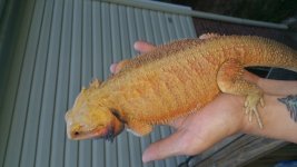 20150523_192005.jpg