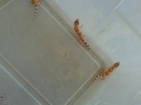 20150823_125944.jpg