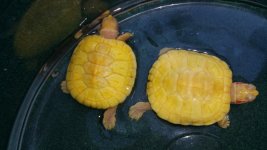 20151213_101005.jpg