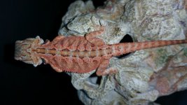 20150703_163507.jpg