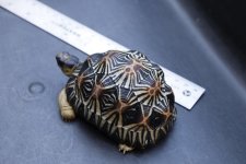 yps8NwyNyrbMmHh7LAstZKYaWHrRlHLzIYRyeWk2KlM=w1415-h943-no.jpg