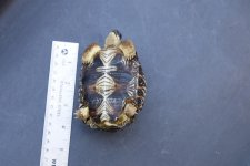 WuRm-yHYpFDwg-0OJC8KVLjHii-g4nOrPL2eccjQ-7o=w1415-h943-no.jpg