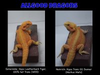 Slide4.jpg Slide4.jpg