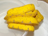 GTPManokwari03.jpg