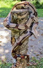 IMG_0543.jpg