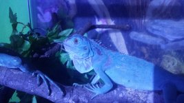 20151130_185439.jpg
