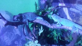 20151130_185425.jpg