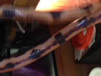 14 snake 2 belly.jpg