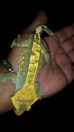 20150918_164333_2.jpg