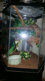 20150918_164747.jpg