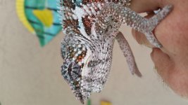 20150824_145338.jpg