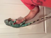 IMG_0159.jpg