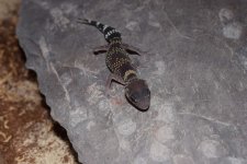 DSC_0615-test.jpg