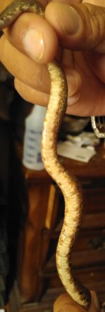 20150919_152310~3.jpg