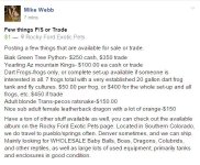 mike webb.jpg