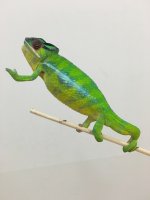 IMG_4964.jpg IMG_4964.jpg
