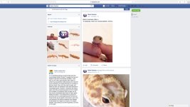Screen Shot 2015-07-25 at 6.45.21 PM.jpg