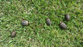 20150718_170338.jpg