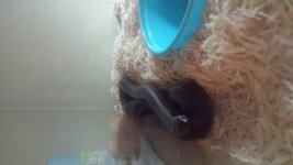 20151215_091329.jpg