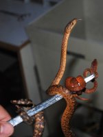 compDSC_0012.jpg