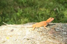 IMG_3952.jpg