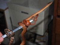 compDSC_0013.jpg
