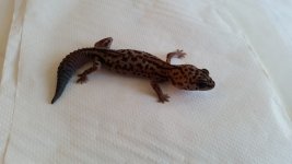 20151030_093739.jpg