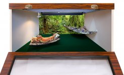 24D Model cage, African Zebrawood front panel, 070115-1a 70 percent.jpg