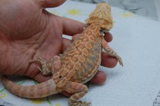 DSC_1659.jpg