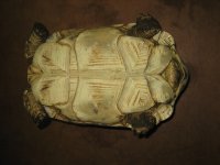 IMG_0186.jpg