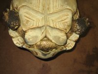 IMG_0188.jpg