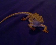 Picture 019.jpg