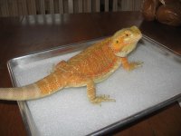 IMG_5572.jpg