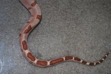 2010 053.jpg
