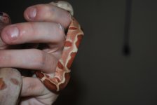 2010 049.jpg