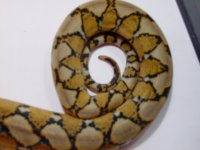 28895_756513114662_17116058_41094113_391078_n.jpg