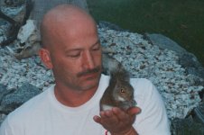 Squirrel.jpg