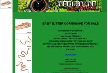 ugreptilesfalsebutter-1.jpg