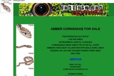 ugreptilesfalseamber-1.jpg