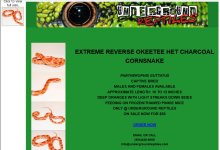 ugreptilesfalseRO-1.jpg