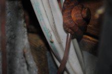 DSC_0008.jpg