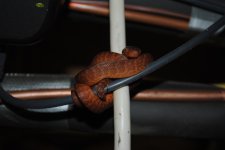 DSC_0019.jpg