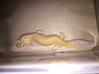 IMG_1164.jpg