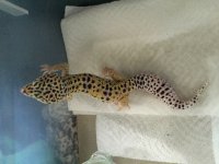 IMG_0877 1.jpg