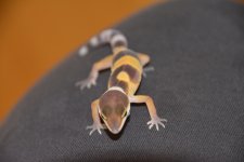 DSC_0330.jpg