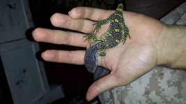 20150929_100926.jpg