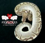 Bamboo het Axanthic.jpg