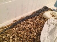 IMG_1288.JPG