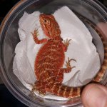 IMG_20151102_173259.jpg