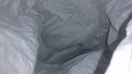 mites2.jpg mites2.jpg